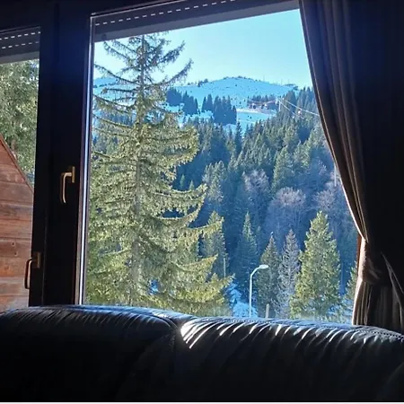 View ヤホリナ